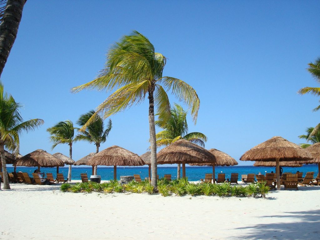 Palm resort on a beach