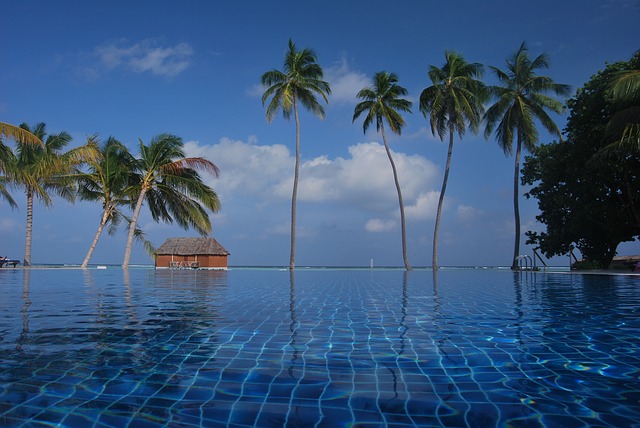 Blue colored pool with palms in the background