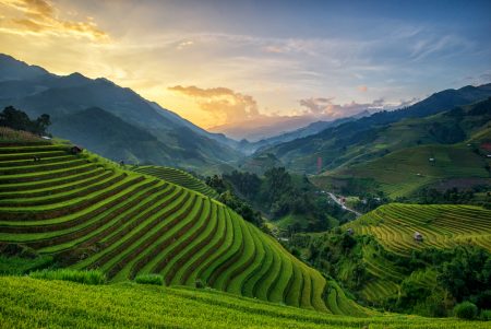 Mountainous Asian fields with a sunset
