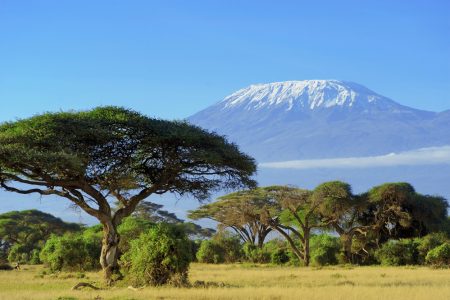 Schnee auf dem Gipfel des Kilimandscharo in Amboseli
